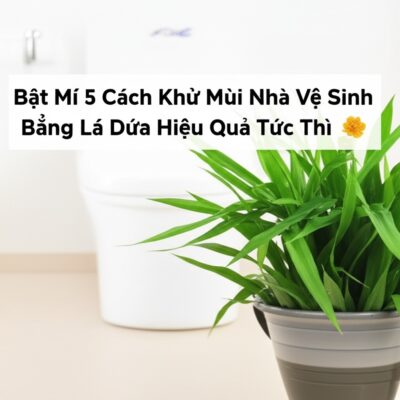 Bật Mí 5 Cách Khử Mùi Nhà Vệ Sinh Bằng Lá Dứa Hiệu Quả Tức Thì