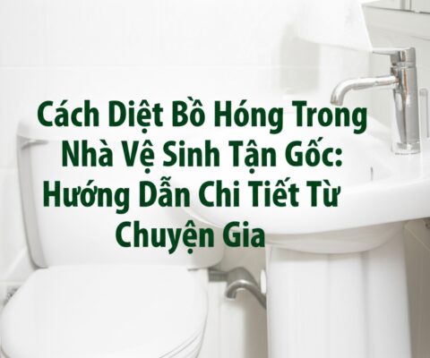 Cách Diệt Bồ Hóng Trong Nhà Vệ Sinh Tận Gốc: Hướng Dẫn Chi Tiết Từ Chuyên Gia