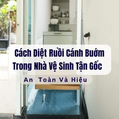 Cách Diệt Ruồi Cánh Bướm Trong Nhà Vệ Sinh Tận Gốc, An Toàn Và Hiệu Quả