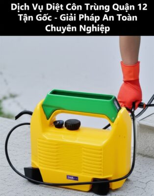 Dịch Vụ Diệt Côn Trùng Quận 12 Tận Gốc - Giải Pháp An Toàn, Chuyên Nghiệp