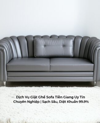 Dịch Vụ Giặt Ghế Sofa Tiền Giang Uy Tín, Chuyên Nghiệp | Sạch Sâu, Diệt Khuẩn 99.9%