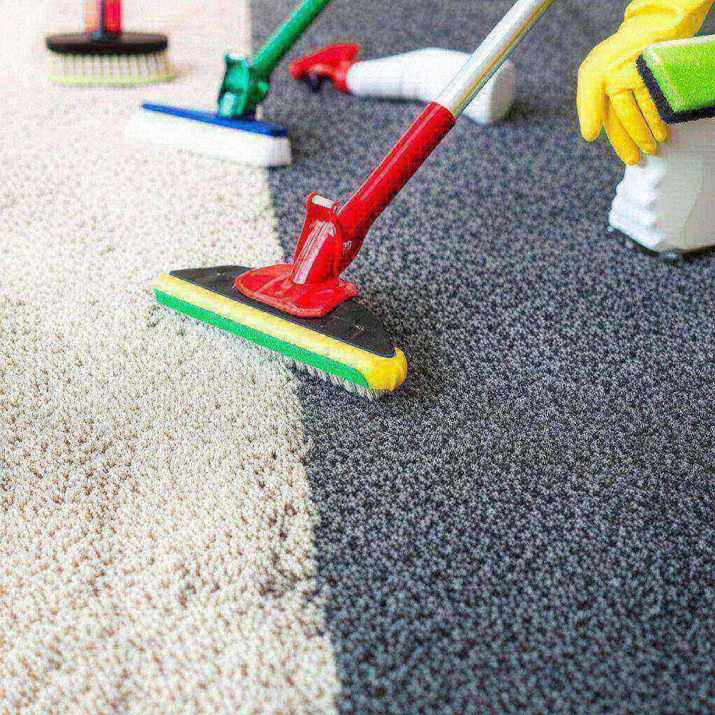 Hình minh họa cho bài viết: Dung Dịch Vệ Sinh Thảm: Bí Quyết Chọn Lựa & Sử Dụng Hiệu Quả Nhất 2024